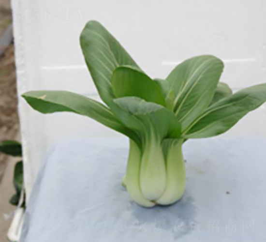�л�605-�๣������-���ũҵ