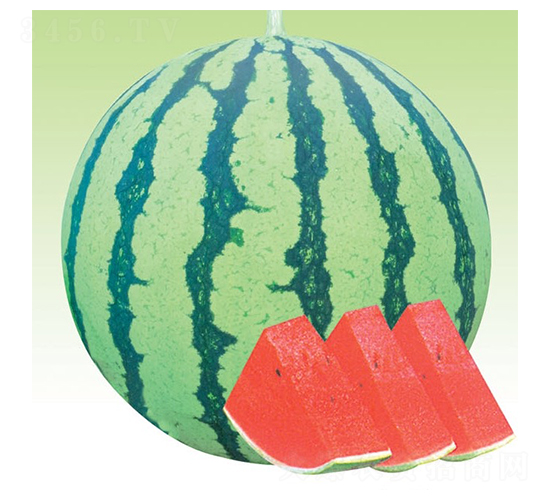 84-24-��������-������ҵ