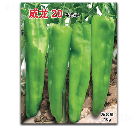 ����20-ţ�ǽ�����-������ҵ