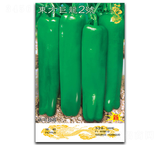 ��������2��-�ݽ�����-������ҵ