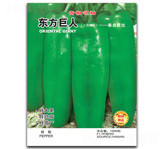 ��������-�ݽ�����-������ҵ
