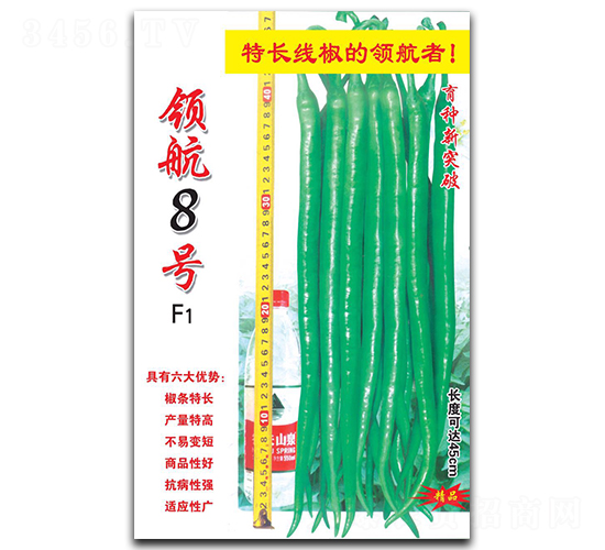 �캽8��-�߽�����-������ҵ
