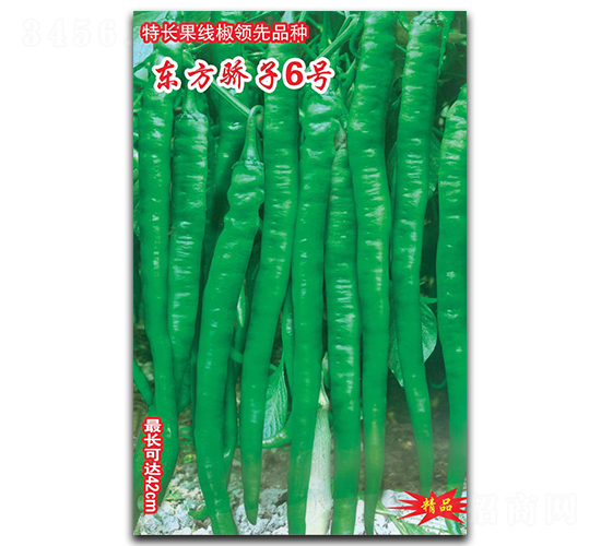 ��������6��-�߽�����-������ҵ