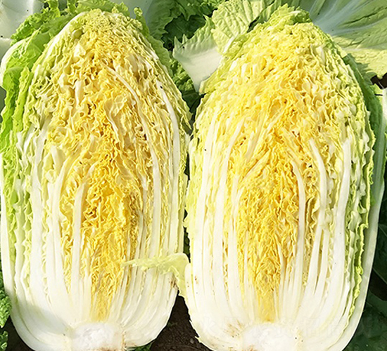 �������пðײ�-���޲�����-˳��
