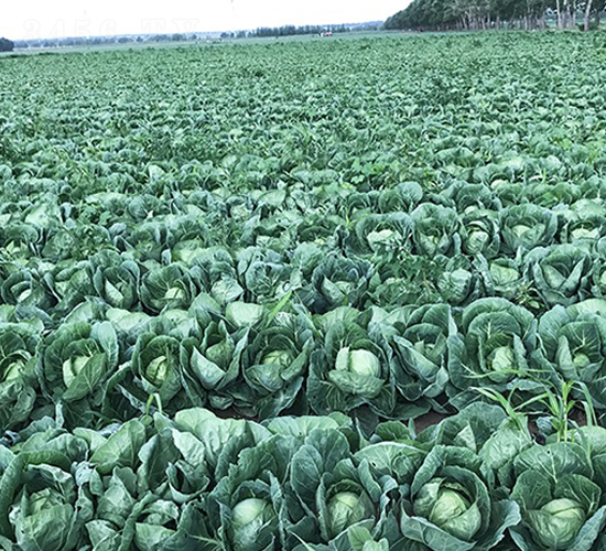 ����102-��������-˳��
