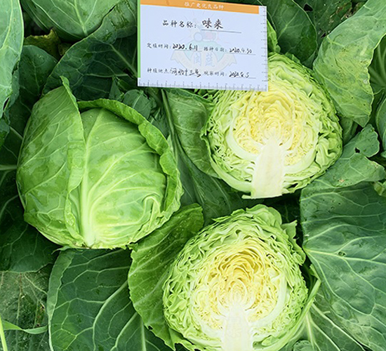ζ��-��������-˳��