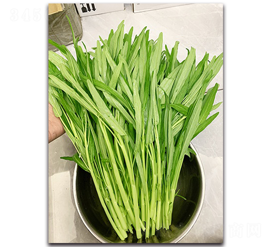 ���313-���Ĳ�����-˳��