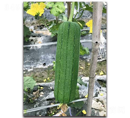 ������˿��-˿������-˳��