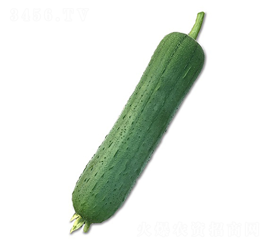 ��ޥ��˿��-˿������-˳��