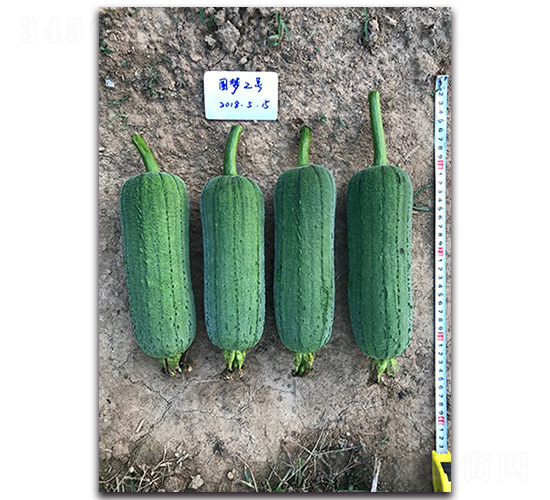 Բ��2����˿��-˿������-˳��
