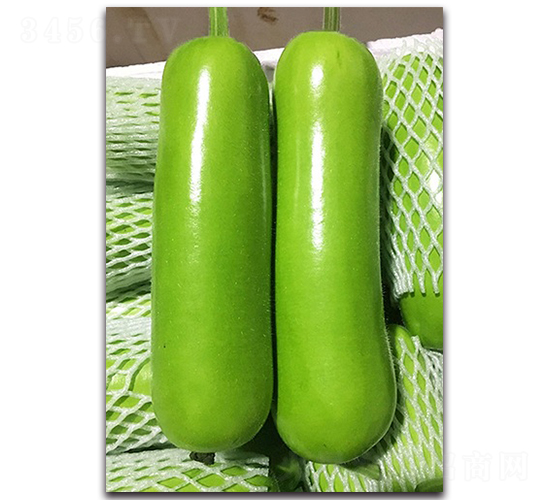 ����-������-˳��