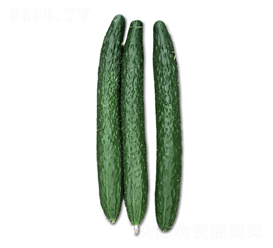 ½��2��-�ƹ�����-˳��
