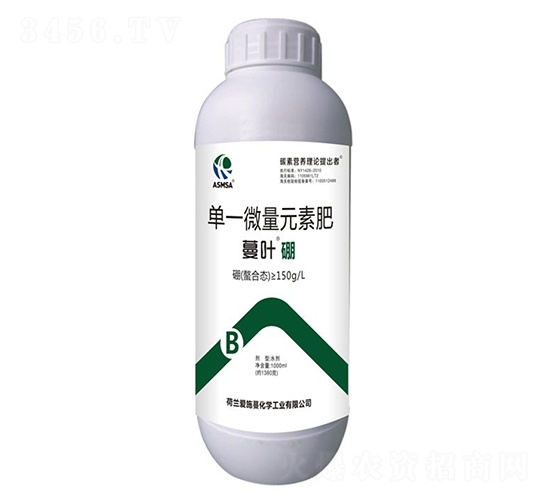 1000ml��Ҷ���-��ʩ��