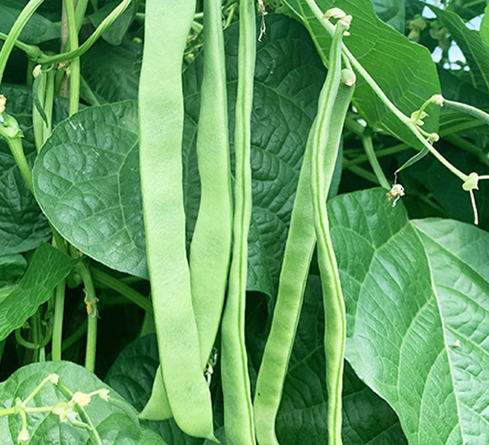 ����818-�ܶ�����-˳��
