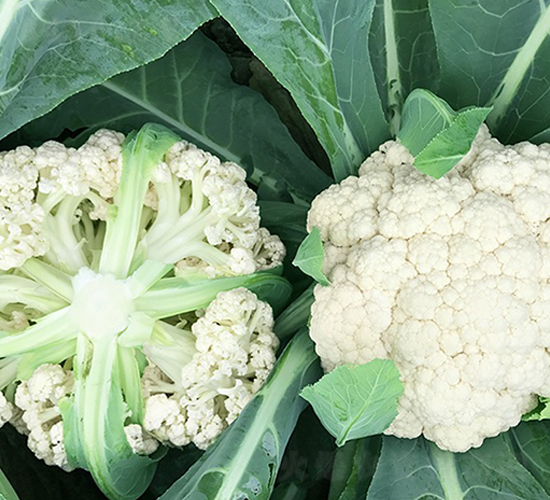��̨��65���๣����-��Ҭ������-˳��