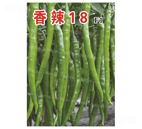 ����18-��������-�˶���ʢ