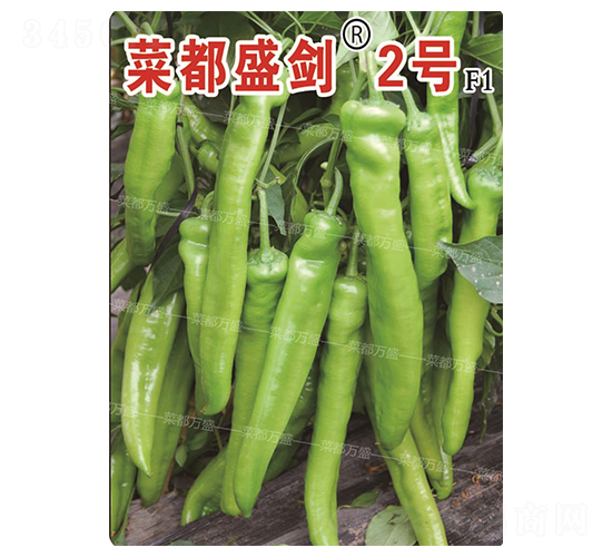 �˶�ʢ��2��-��������-�˶���ʢ
