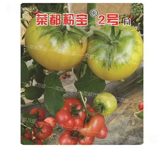 �˶��۱�2��-����������-�˶���ʢ