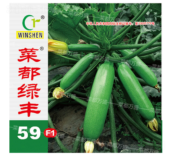 �˶��̷�59-����«����-�˶���ʢ