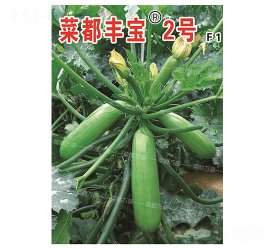 �˶��ᱦ2��-����«����-�˶���ʢ