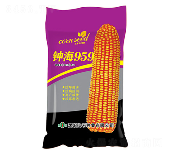 �Ӻ�959���ϴ���-��������-�ɺ���ҵ
