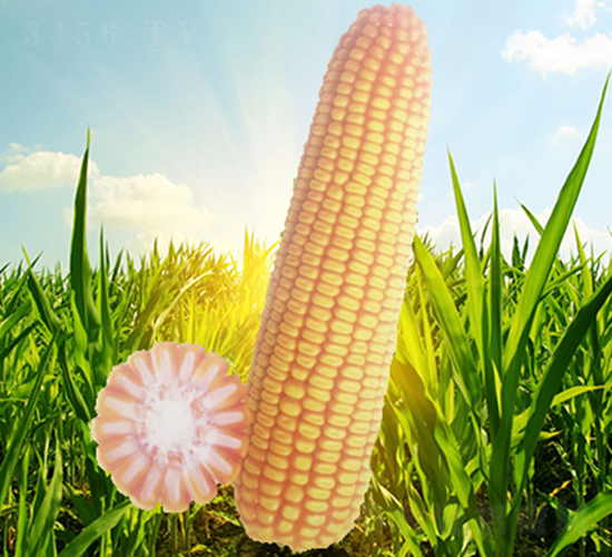 ����71-��������-��Դ��ҵ