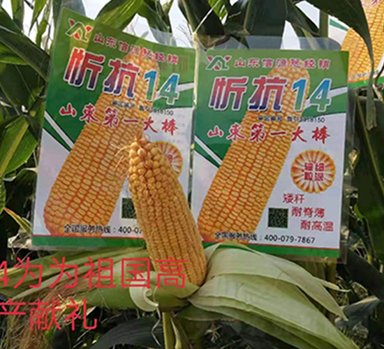 �ÿ�14-��������-��Դ��ҵ