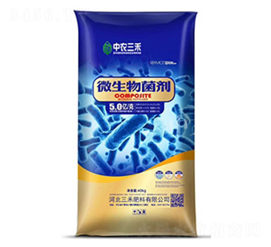 40kg΢�������-��ũ����