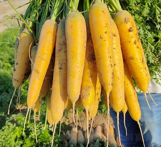 ��ά��-���ܲ�����-��Ļ��