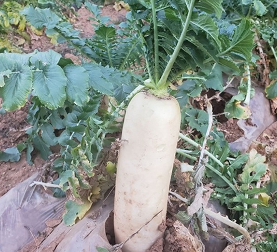 Ļ����������-�ܲ�����-��Ļ��
