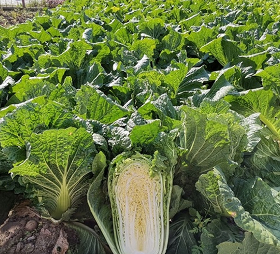 �����-�ײ�����-��Ļ��