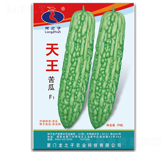 ����-�������-��֮��