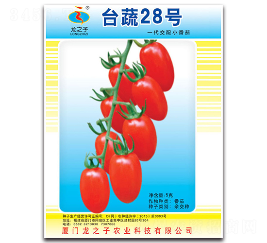 ̨��28-С��������-��֮��