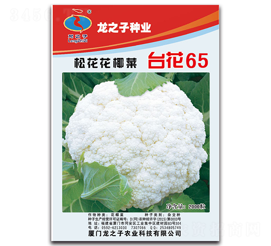 ̨��65-�ɻ�������-��֮��