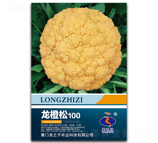 ������100-�ɻ�������-��֮��