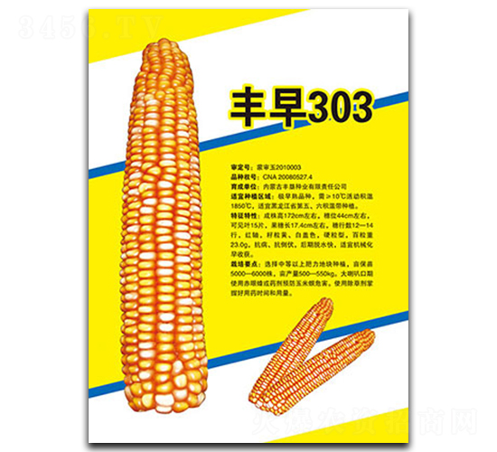 ����303-��������-�����ҵ