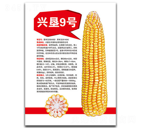 �˿�9��-��������-�����ҵ