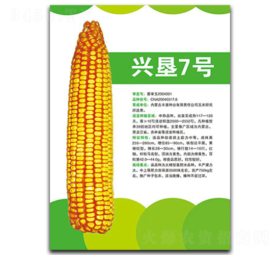 �˿�7��-��������-�����ҵ