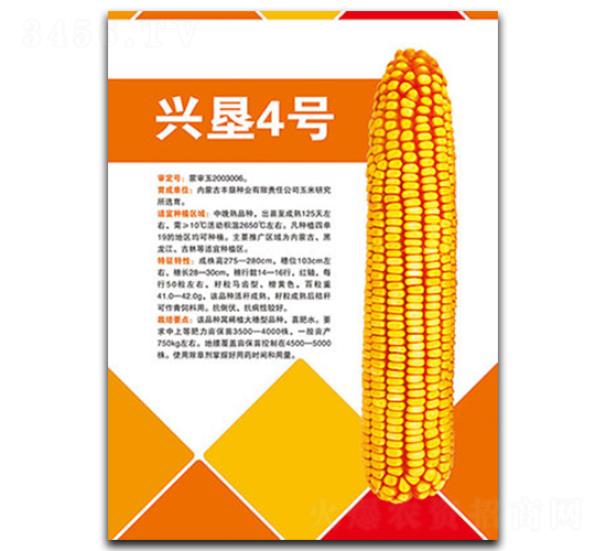 �˿�4��-��������-�����ҵ
