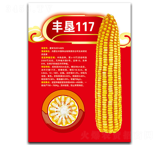 ���117-��������-�����ҵ