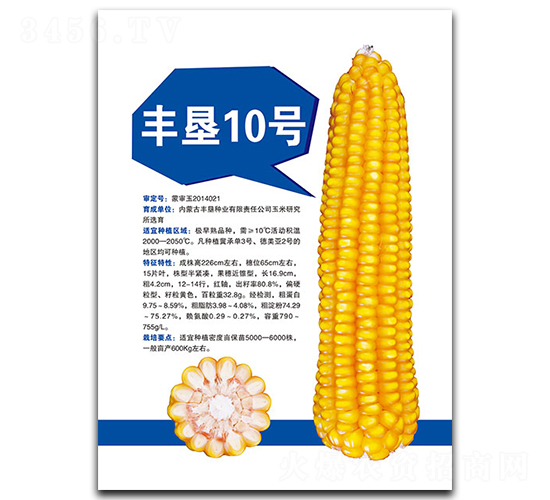 ���10��-��������-�����ҵ