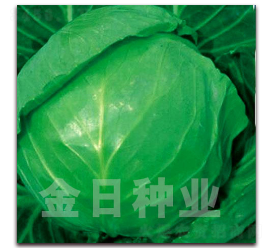 ��ζ55-��������-������ҵ