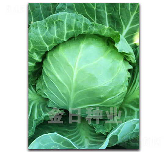 ����105-��������-������ҵ