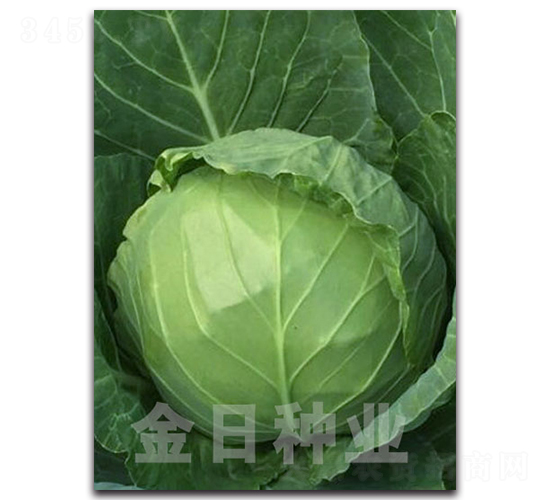 ����103-��������-������ҵ