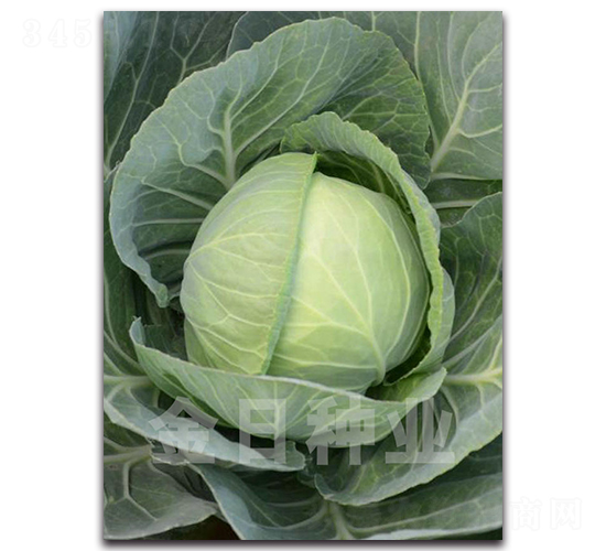 ����101-��������-������ҵ