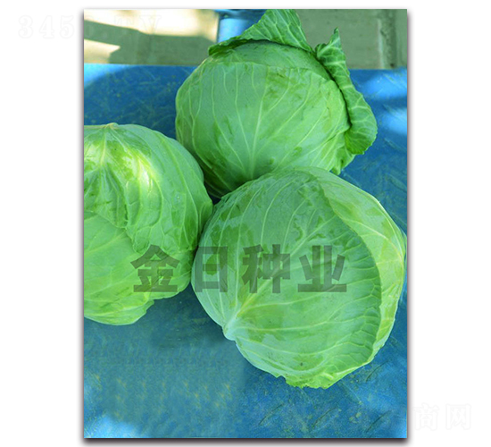 19-11����-��������-������ҵ