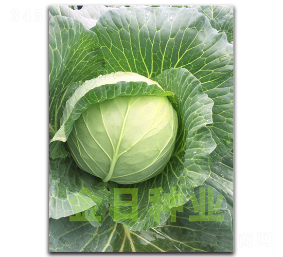 19-16����-��������-������ҵ