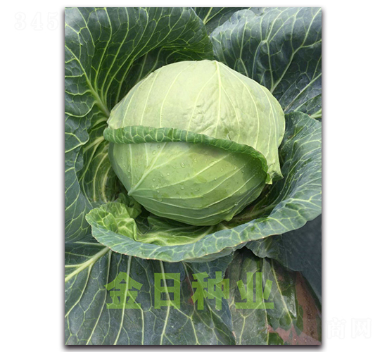 19-15����-��������-������ҵ