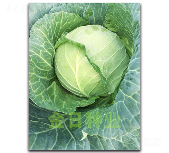 19-14����-��������-������ҵ