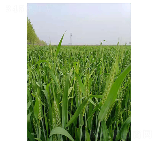 ����669-С������-������ҵ